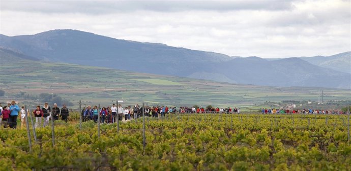 Cuarto paseo saludable