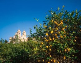 Huerta de Murcia