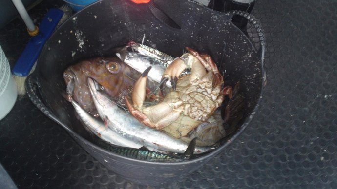 Efectos requisados por Gardacostas en operativo contra furtivismo