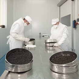 Elaboración del Caviar Nacarii