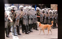 Una de las instantáneas del III Festival PhotON de Valencia