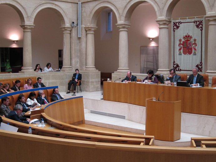 Pleno Parlamento de La Rioja