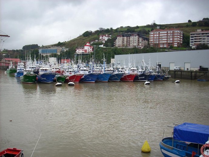Puerto de Bermeo