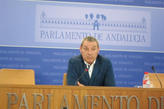 El portavoz del PSOE en el Parlamento andaluz, Francisco Álvarez de la Chica