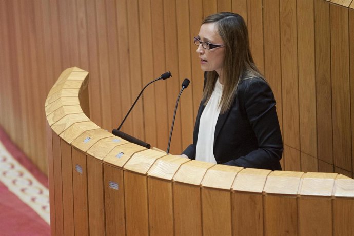 Elena Muñoz Fonteriz comparecerá no Pleno do Parlamento para informar dos obxect