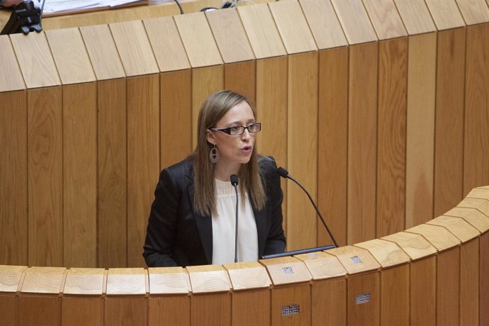 Elena Muñoz Fonteriz comparecerá no Pleno do Parlamento para informar dos obxect