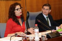 La Junta pide al Gobierno financiación para atención a dependientes menores de tres años