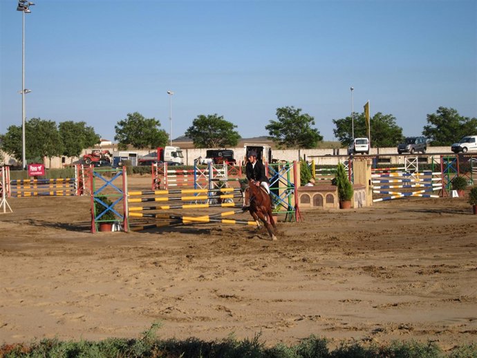 Concurso Nacional De Saltos De Cáceres