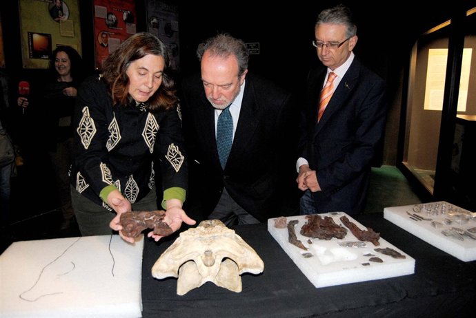 Presentación de los restos de los cocodrilos