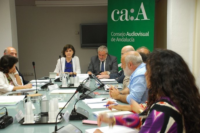 Joaquín Durán interviene ante el pleno del CAA