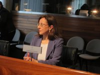 El Principado pide a Fomento una reunión urgente para conocer la "situación exacta" de la variante de Pajares