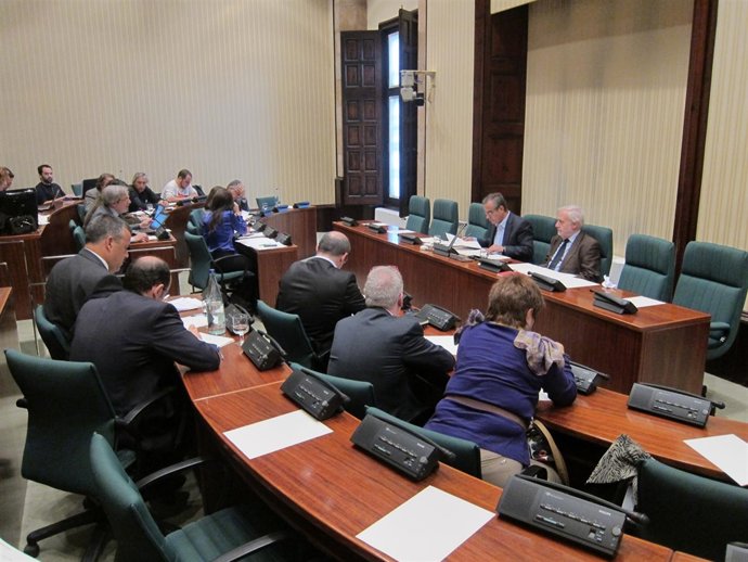 Comisión de estudio del orden público y uso de material antidisturbios