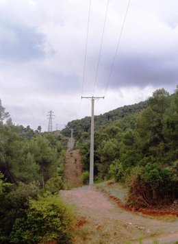 Reforma de la línea eléctrica en el Baix Llobregat