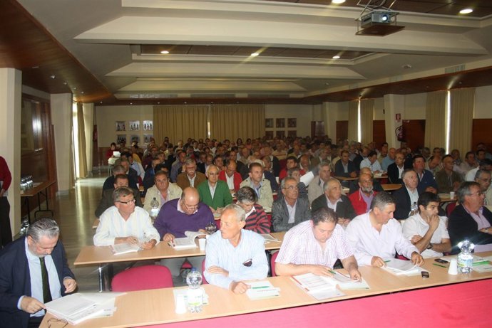 Asamblea general de Hojiblanca.