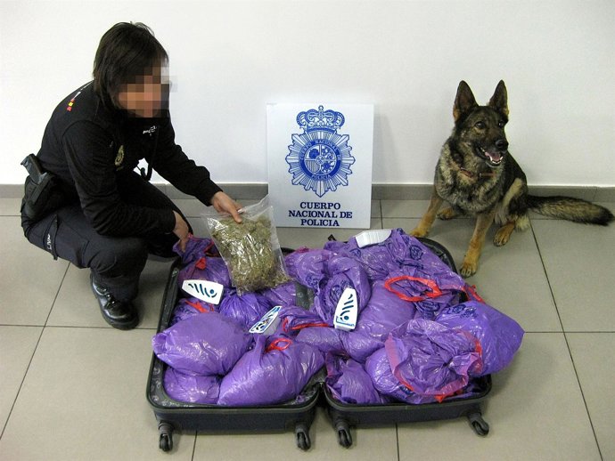 El detenido pretendía llevar la droga en una maleta en autobús hasta Holanda
