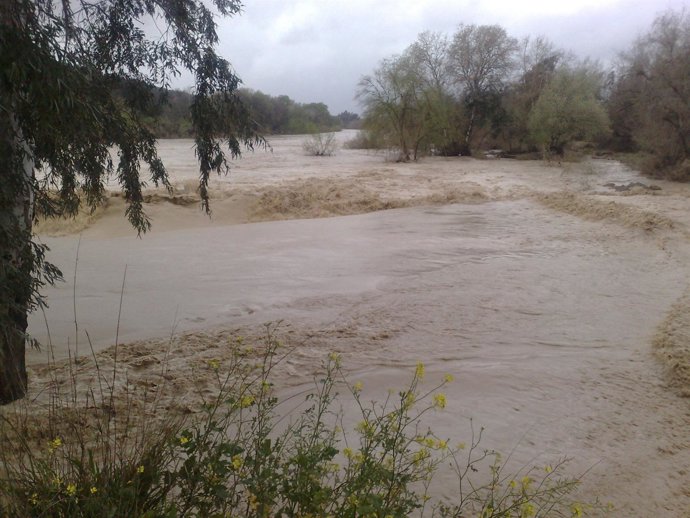 El río Guadalquivir cerca de Alcolea