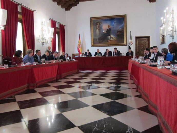 Pleno De La Diputación De Cáceres