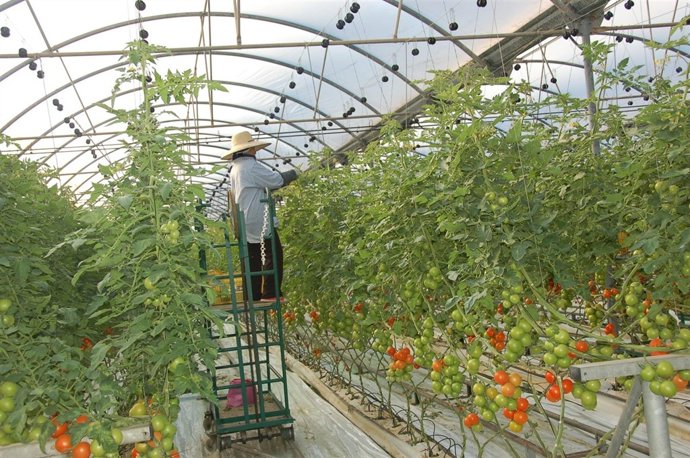 Proyecto europeo CarbGrowth