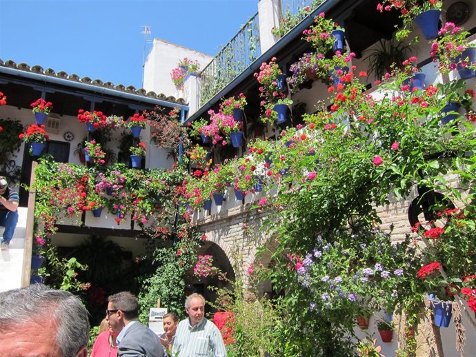 Patio de la calle San Basilio, 50