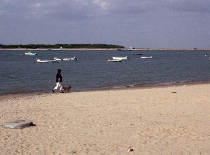 Río Guadalquivir a su paso por Sanlúcar de Barrameda (Cádiz)