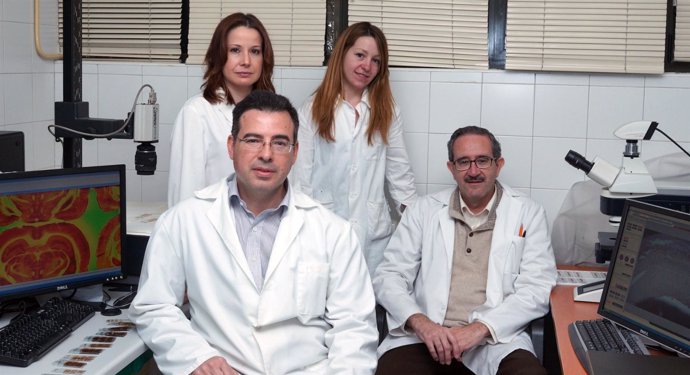 Grupo de Investigación lesiones cerebrales Universidad de Oviedo