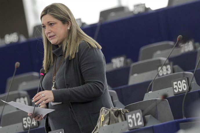 Herranz, en el Parlamento Europeo