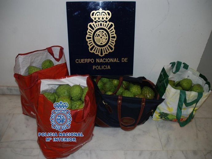 Detenidas nueve personas por el robo de casi 90 kilos de chirimoyas