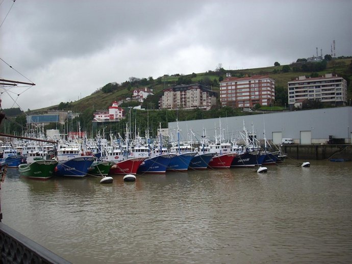 Puerto de Bermeo