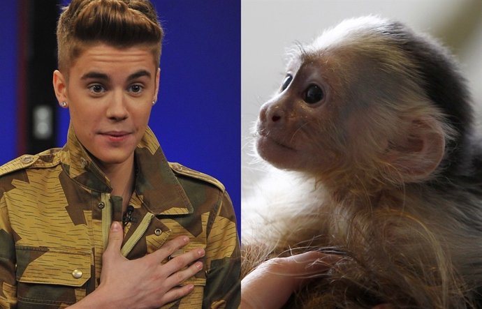 Justin Bieber y su monete