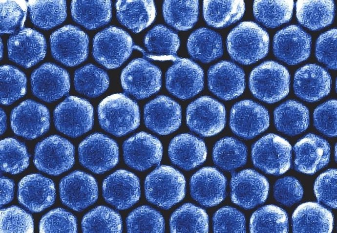 Desarrollan un nuevo material de silicio