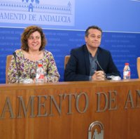 Castro (IULV-CA) replica al portavoz del Gobierno andaluz que sí hay caso Invercaria "y con letras mayúsculas"