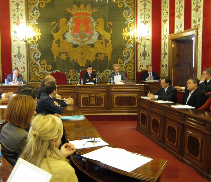 Pleno extraordinario sin Sonia Castedo