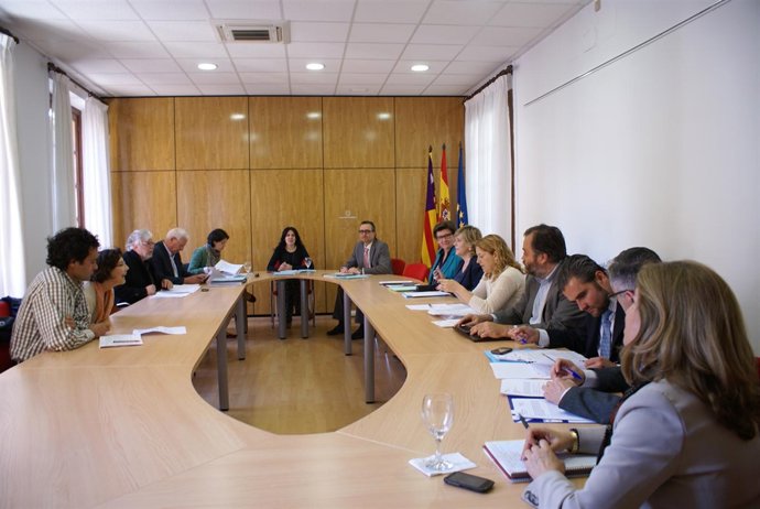Sandra fernández en conferencia sectorial                  