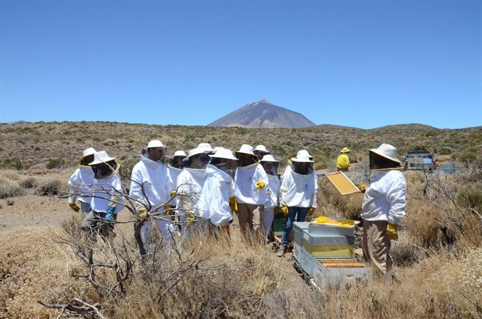 Paseo guiado por la ruta de las mieles del Teide