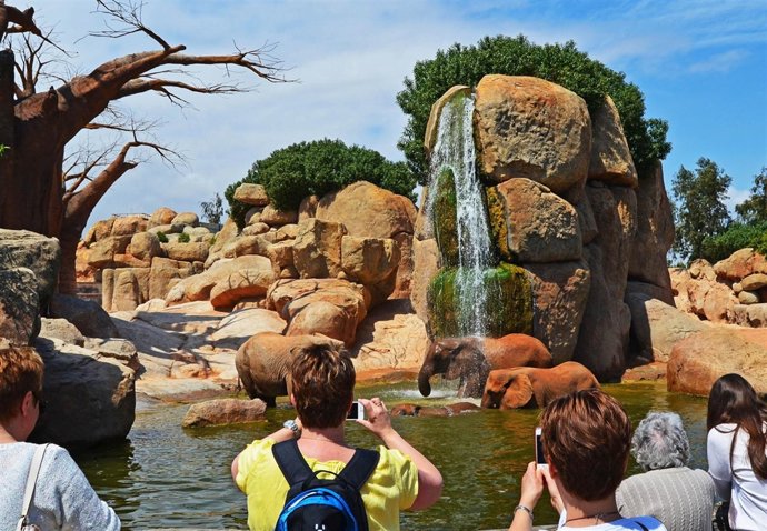 Elefantes bañándose en el Bioparc Valencia