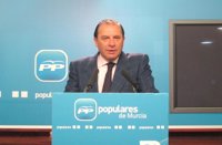 Pujalte desconoce pagos del PP al presidente de Caja Madrid: "¿En concepto de qué?"