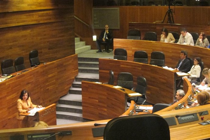 María Jesús Álvarez en el Pleno de la Junta General