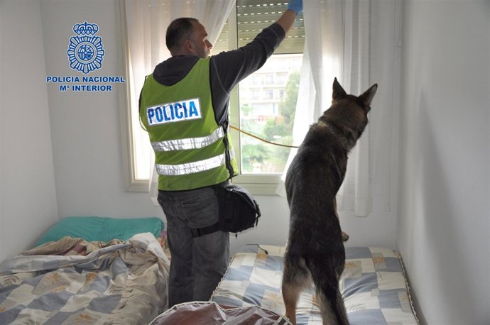 Registro en Lloret por una operación contra narcotráfico