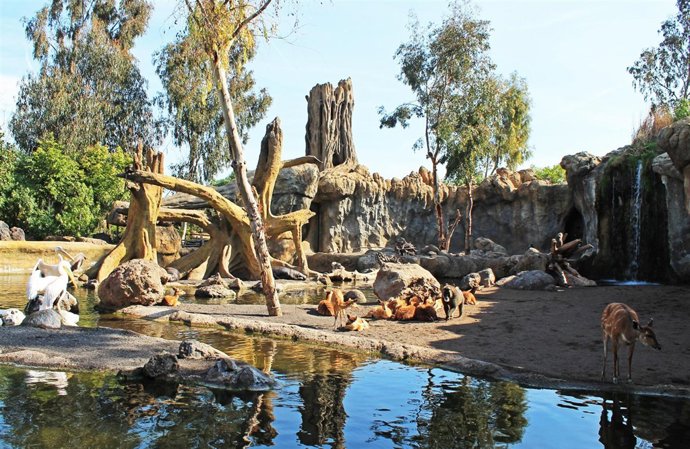 Bioparc
