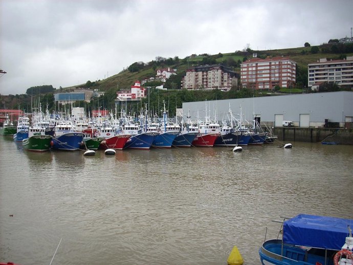 Puerto de Bermeo