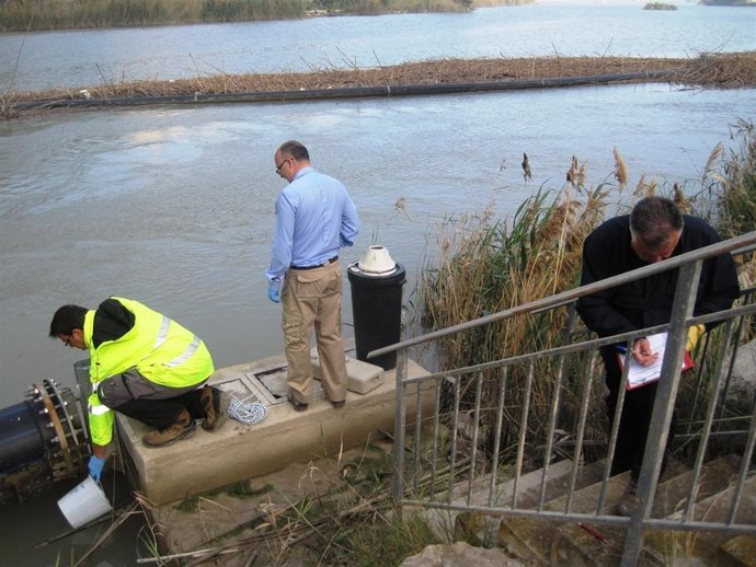 Muestreo mejillón cebra