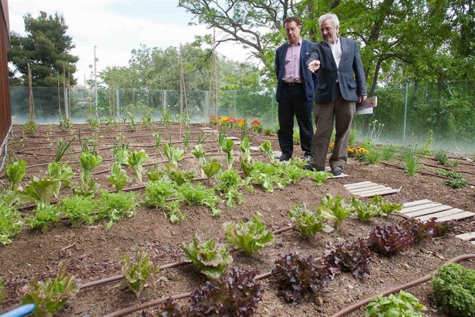 El consejero municipal de Medio Ambiente, Jerónimo Blasco en un huerto urbano