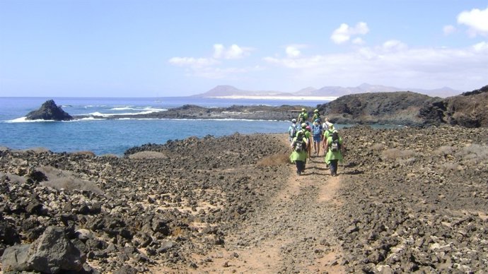 Ruta guiada a la Isla de Lobos