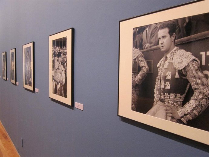 Imágenes que se pueden ver en la sala Caja España-Duero