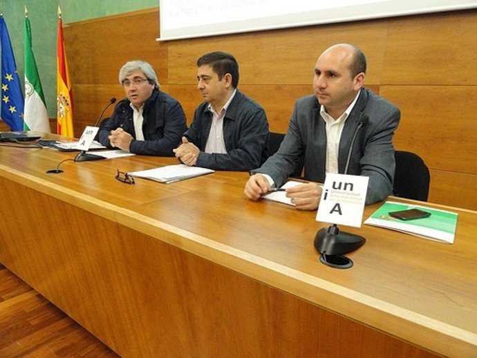 Conejo en Baeza (Jaén)