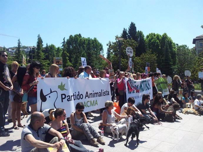 Concentración en la Plaza del Triunfo de Granada contra maltrato animal