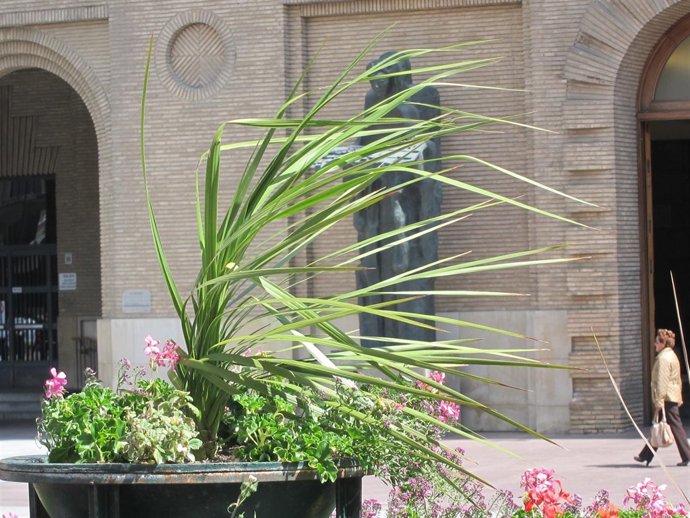 Viento en la capital aragonesa