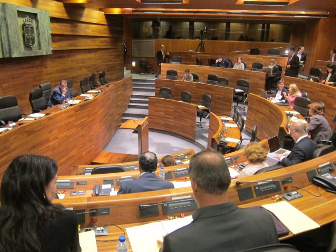 Pleno de la Junta General