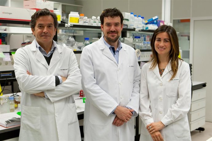 Los investigadores de CIMA responsables del proyecto
