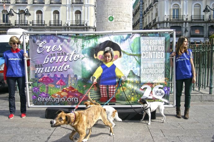 Campaña de El Refugio